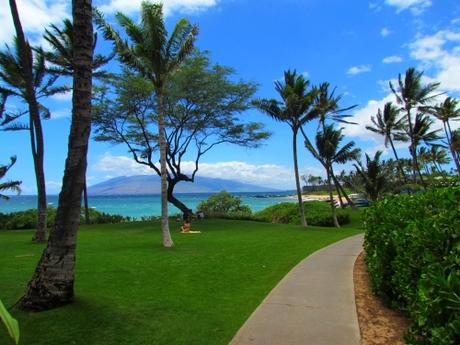 Playa de Wailea. Maui. Hawai