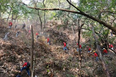 COMBATEN BRIGADISTAS MEXIQUENSES MÁS DE MIL 394 INCENDIOS FORESTALES EN LO QUE VA DE 2019