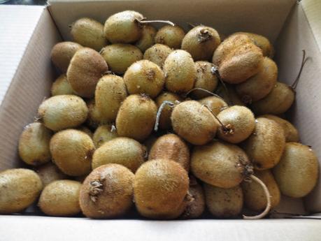 Mermelada de kiwi Thermomix