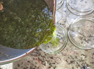 Mermelada de kiwi Thermomix