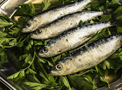 beneficio suplementos nutricionales.