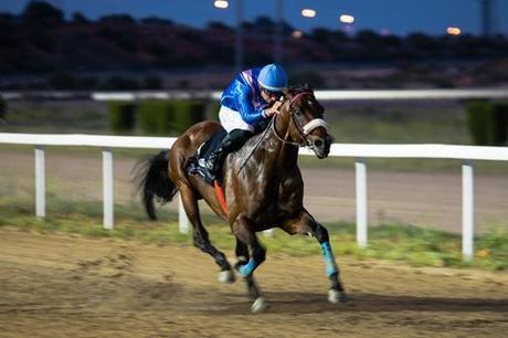 El Gran Hipódromo de Andalucía inaugura este jueves su terraza con cinco carreras de caballos