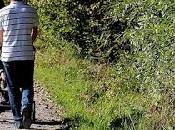 Colaboración ¿Porteo cochecito?