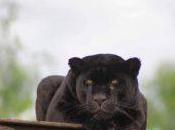 Estoy esperando así, atenta.. (otro verso para Osiris50)