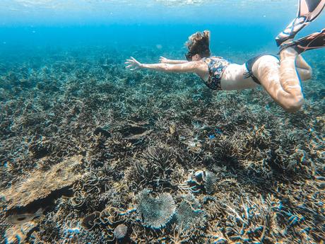 GPTempDownload-1024x768 ▷ Cumplir 30 años y golpear la marca de 5 años