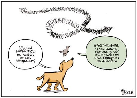 [UNA SONRISA] Al menos hoy viernes, 24 de mayo