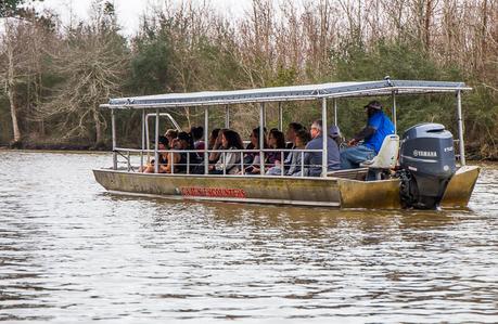 cajun-encounters-new-orleans-7 ▷ ¡Comenta sobre las mejores cosas para hacer en Nueva Orleans con niños! por melissa