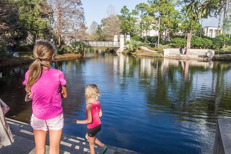 city-park-new-orleans ▷ ¡Comenta sobre las mejores cosas para hacer en Nueva Orleans con niños! por melissa