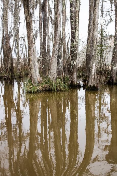 cajun-encounters-new-orleans-4-1 ▷ ¡Comenta sobre las mejores cosas para hacer en Nueva Orleans con niños! por melissa