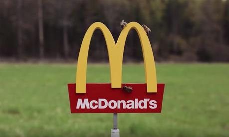 McDonald’s abre su restaurante más pequeño del mundo dirigido a las abejas