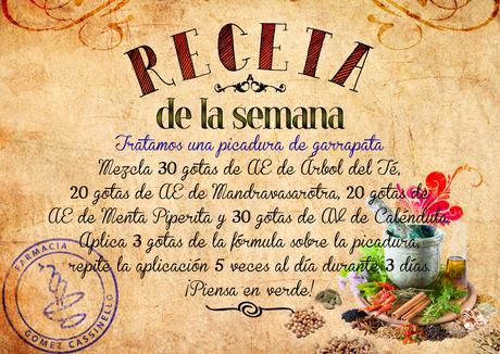 Receta: Tratamos una picadura de garrapata Receta: Tratamos una picadura de garrapata