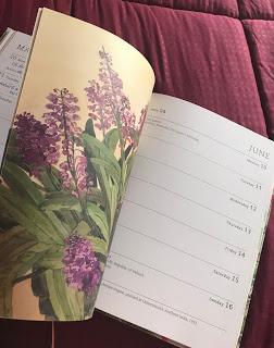 El gran reto del #365