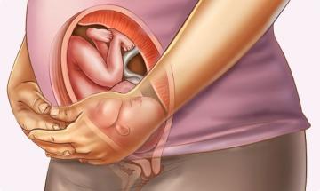 31 semanas de embarazo – Séptimo mes 31 semanas de embarazo – Séptimo mes