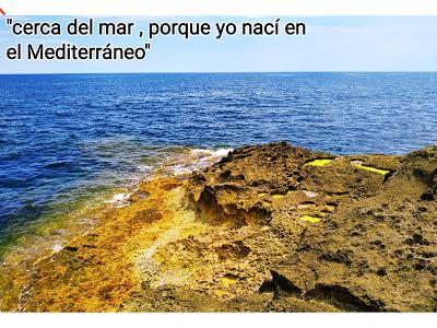 “Es muy duro decir que te ha violado un jeque y que nadie te crea”.