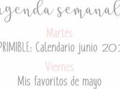 Agenda Semanal 27/05 2/06