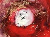 Sonic Youth Sacred Trickster (2009)