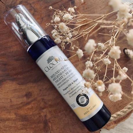 CLOCHEE: CREMA REGENERADORA DE NOCHE CON EFECTO REJUVENECEDOR crema-de-noche-antiedad-clochee-notino.es.jpg