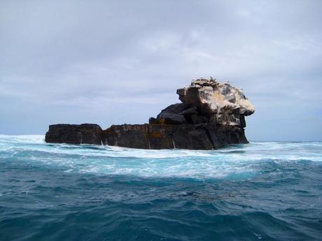 Islas Galápagos: el edén que surgió de las cenizas
