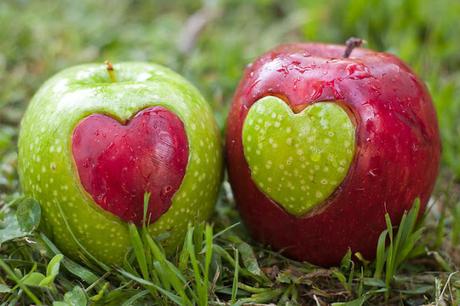 A la busqueda del clon