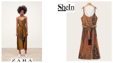 A la busqueda del clon