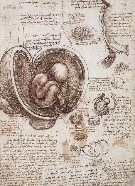 Leonardo da Vinci: ¿un genio con TDAH?