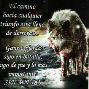 Soy yo quién tiene que buscar la solución..