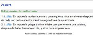 Soy yo quién tiene que buscar la solución..