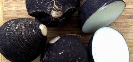 Propiedades del rábano negro Propiedades del rábano negro