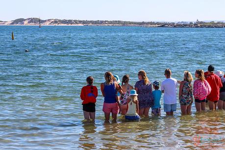 Margeret-River-Bunbury-Western-Australia-42 ▷ Comentarios sobre cosas que hacer en Bunbury: su próxima escapada de Perth en Perth a Margaret River Lugares para detenerse: un mundo de viajes con niños