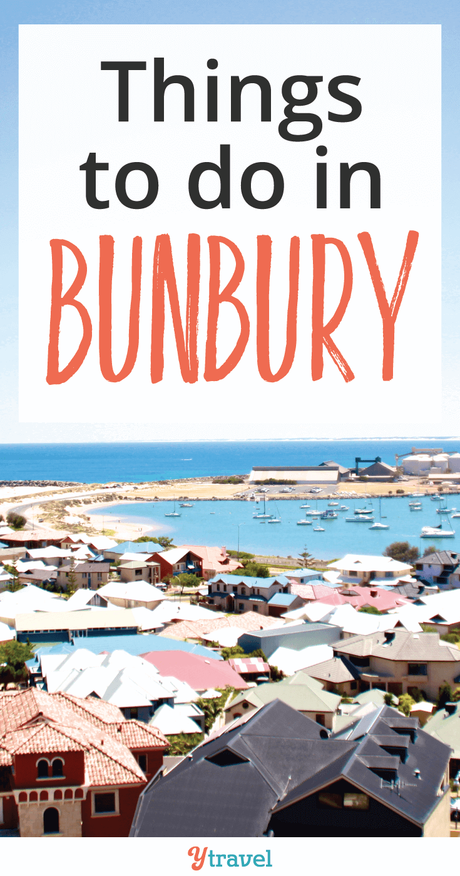 193858_Bunbury-v1_32918-1 ▷ Comentarios sobre cosas que hacer en Bunbury: su próxima escapada de Perth en Perth a Margaret River Lugares para detenerse: un mundo de viajes con niños