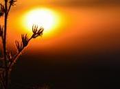 Sunrise dying