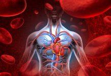 Lo que hay que saber sobre el taponamiento cardíaco Una acumulación de líquido alrededor de los músculos del corazón causa taponamiento cardíaco