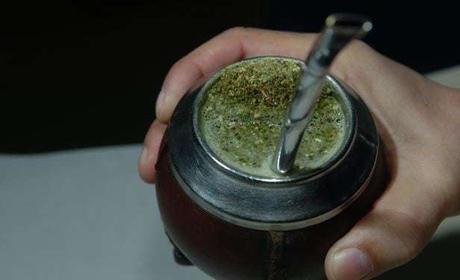 yerba mate