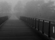 Miércoles minimalista