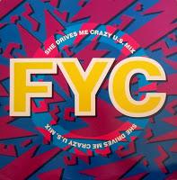 FINE YOUNG CANNIBALS - SHE DRIVES ME CRAZY