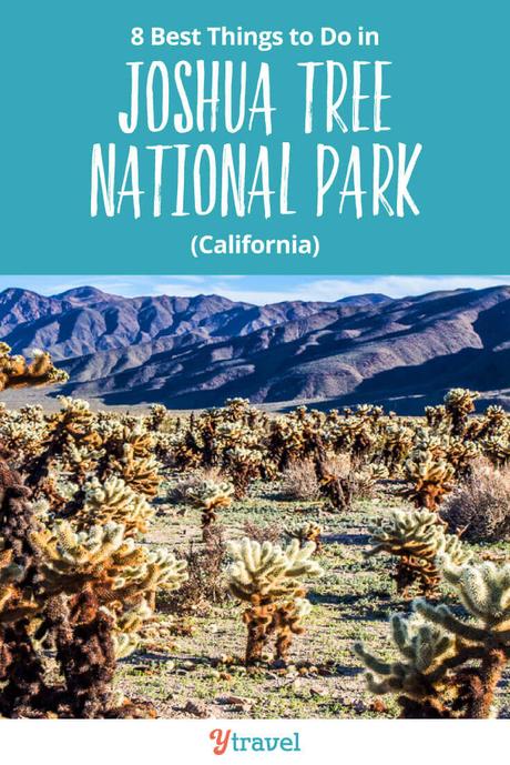 things-to-do-in-joshua-tree-national-park-1 ▷ Comenta sobre 8 cosas increíbles para hacer en el Parque Nacional Joshua Tree, California por 9 escapadas de fin de semana del Día del Trabajo Sobresaliente que dicen adiós al verano