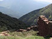 Collformic Cafè Parc Natural Montseny