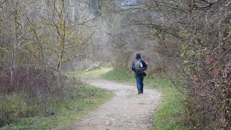 Font del Rector | Mura Font del Rector | Mura
