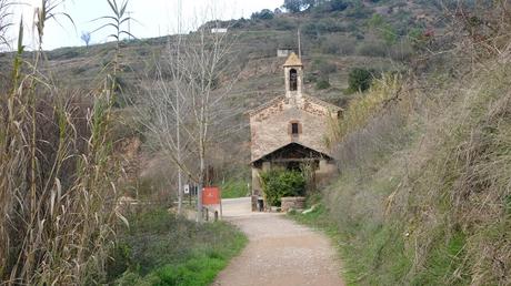 Font del Rector | Mura