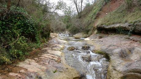 Font del Rector | Mura Font del Rector | Mura