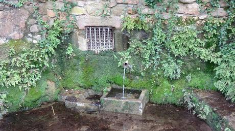 Font del Rector | Mura Font del Rector | Mura