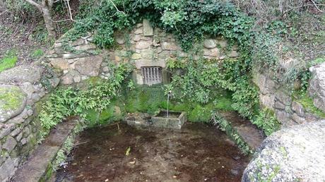 Font del Rector | Mura Font del Rector | Mura