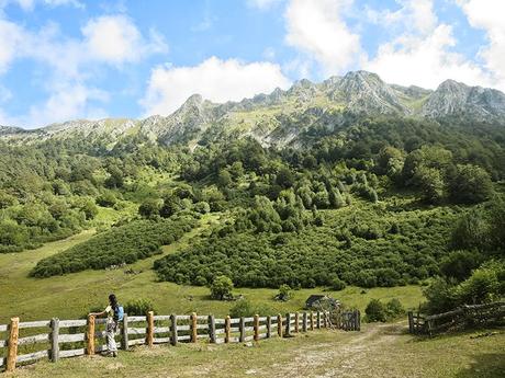 50bbe02d-b3cc-41c7-b3ac-891c0d7e1c10?t=1559215809988 ▷ Las 10 mejores cosas que ver y hacer en el Parque Natural de Redes ✅