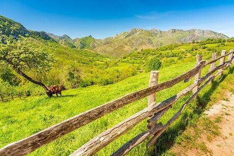 959f369a-626e-4fd2-8bd0-4fa13f520807?t=1559215800591 ▷ Las 10 mejores cosas que ver y hacer en el Parque Natural de Redes ✅