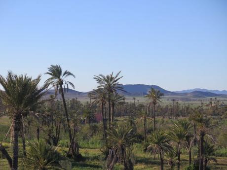 IMG_3089-min-e1558212277391 ▷ El Palmeral de Marrakech