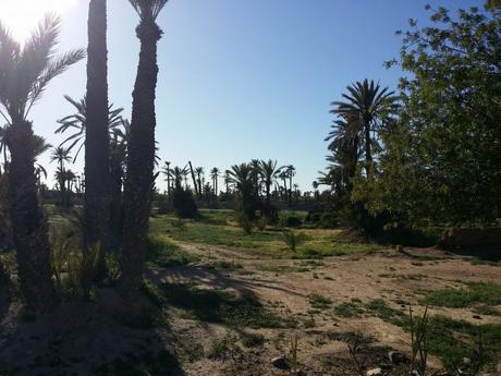 20180326_174723-min-e1558211957241 ▷ El Palmeral de Marrakech
