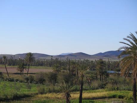 IMG_3090-min-e1558212027848 ▷ El Palmeral de Marrakech