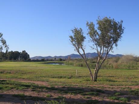 IMG_3085-min-e1558210066437 ▷ El Palmeral de Marrakech