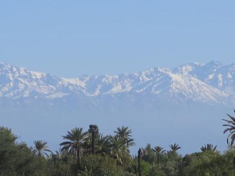 IMG_13059-min-e1558209956817 ▷ El Palmeral de Marrakech