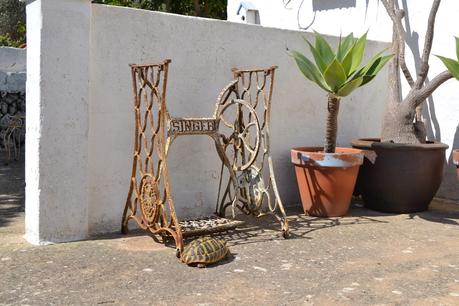 15 CONSEJOS PARA DECORAR UN RINCÓN DE EXTERIOR 15 CONSEJOS PARA DECORAR UN RINCÓN DE EXTERIOR